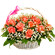 basket of coral roses with babys breath. Gibraltar