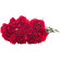 Red Carnations